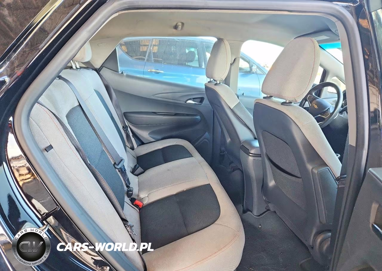 2017 Chevrolet Bolt Ev Lt VIN:1G1FW6S0XH4189651 - 10