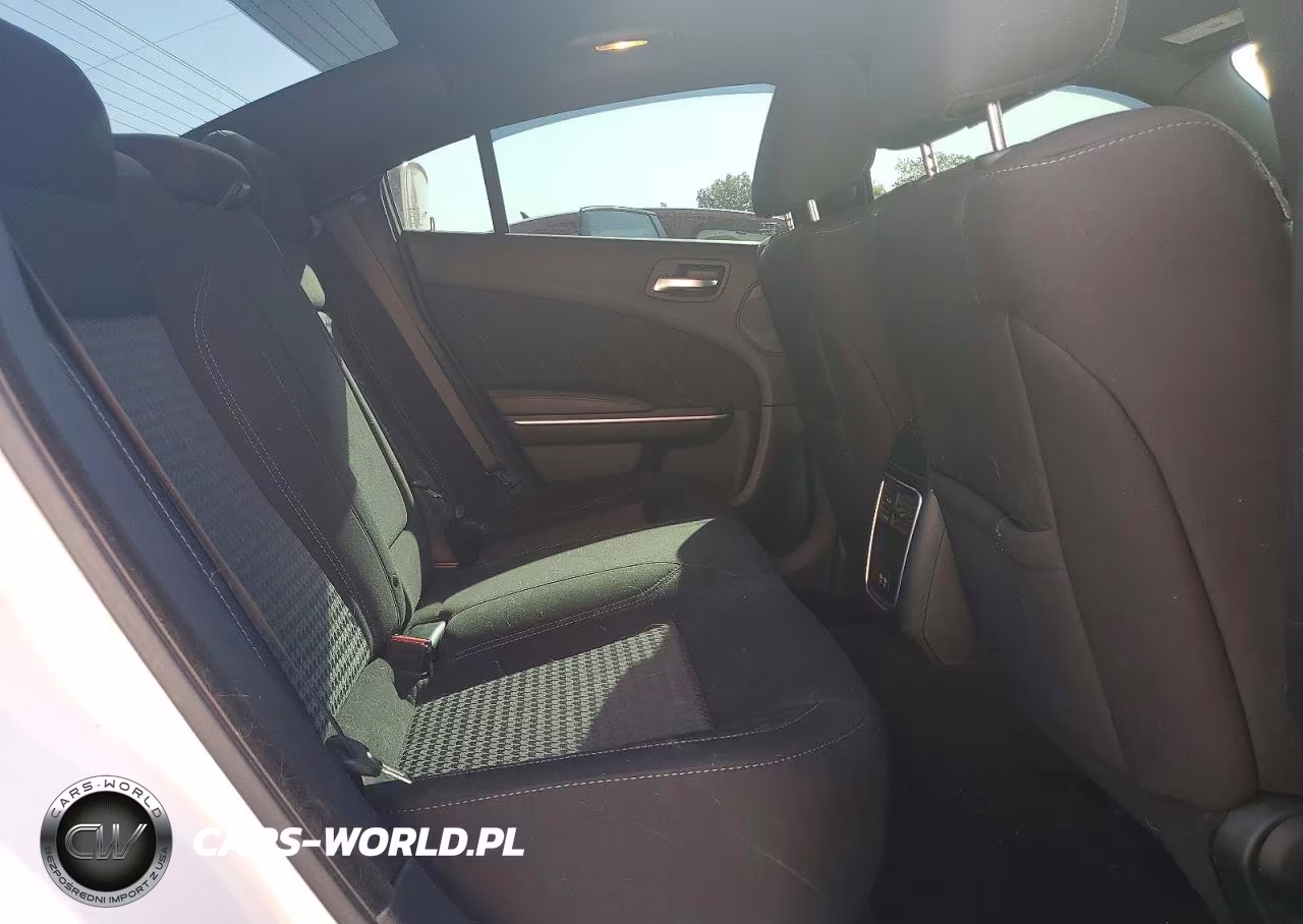 2020 Dodge Charger Sxt VIN:2C3CDXJG9LH173560 - 10