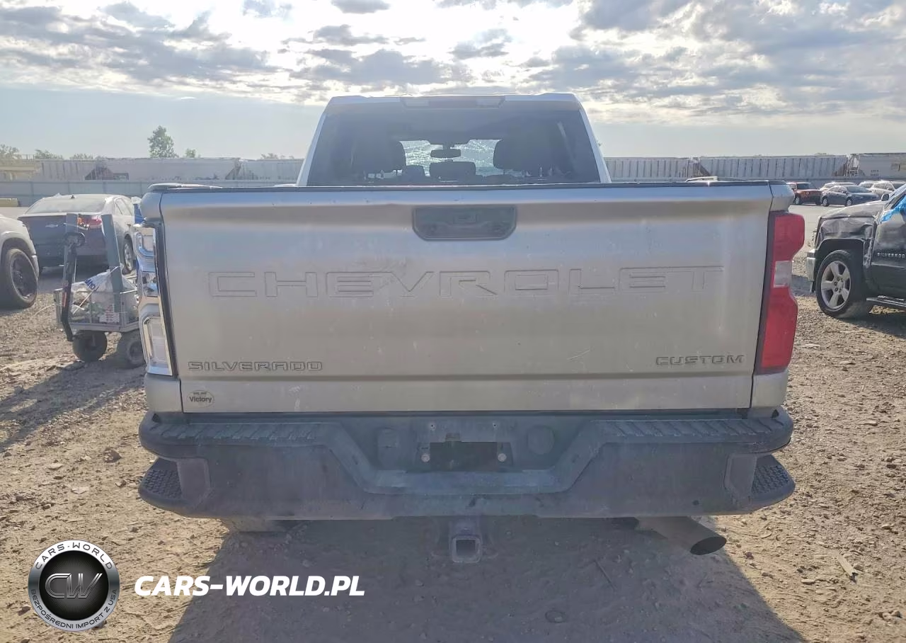 2021 Chevrolet Silverado K2500 Custom VIN:1GC4YME73MF163297 - 6