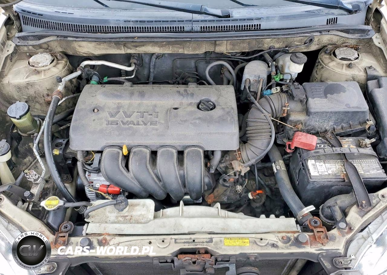 2004 Toyota Corolla Le VIN:2T1BR32E84C291805 - 11