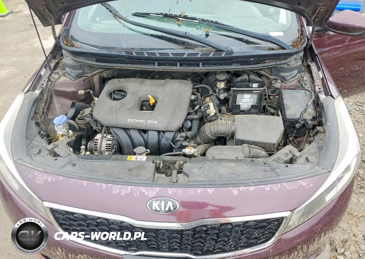 2017 Kia Forte Lx VIN:3KPFK4A70HE080653 - 11