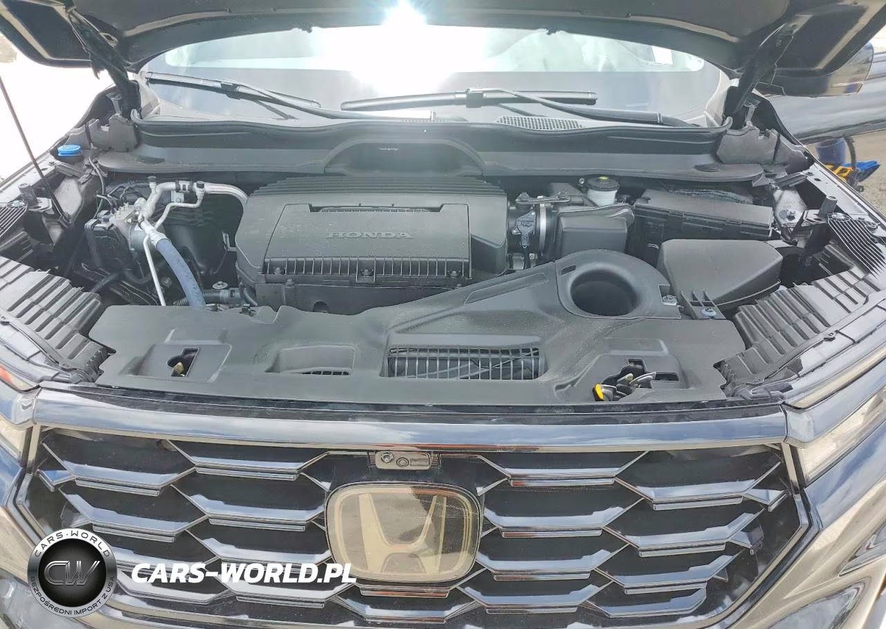 2024 Honda Pilot Elite VIN:5FNYG1H85RB040460 - 12