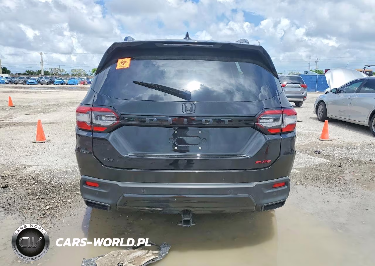 2024 Honda Pilot Elite VIN:5FNYG1H85RB040460 - 6
