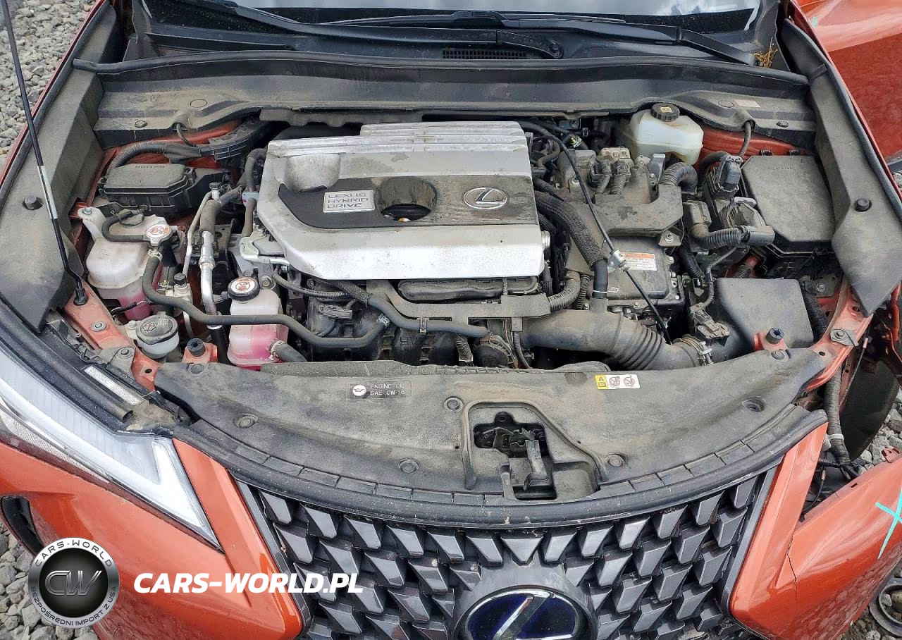 2020 Lexus Ux 250H VIN:JTHX9JBH1L2034808 - 12