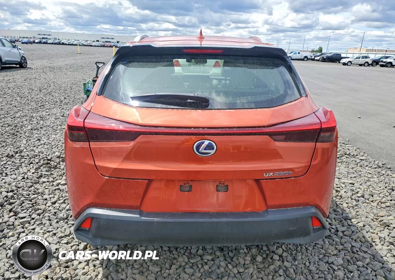 2020 Lexus Ux 250H VIN:JTHX9JBH1L2034808 - 6