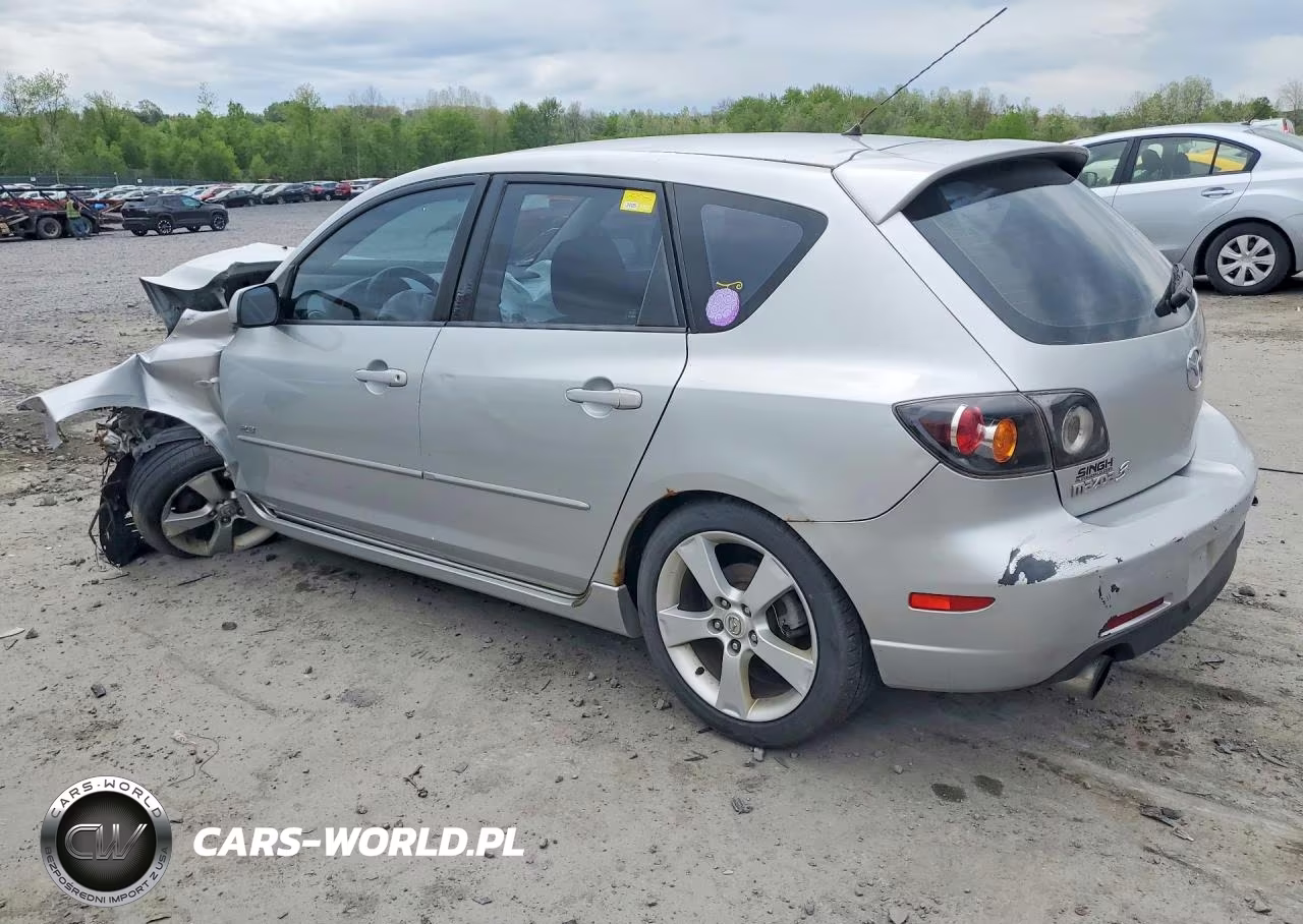 2005 Mazda 3 Hatchback VIN:JM1BK343251306420 - 2