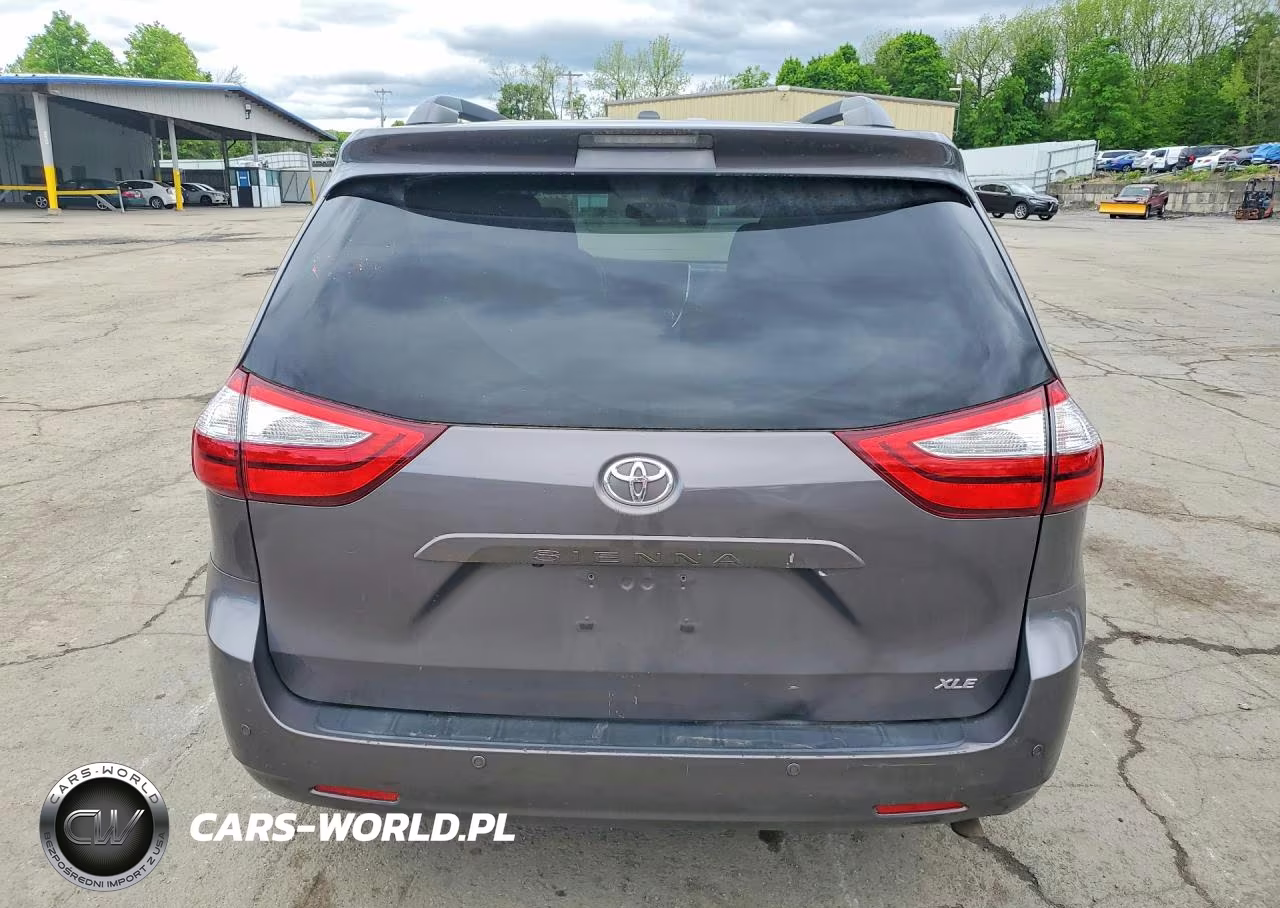 2016 Toyota Sienna Xle 8-Passenger VIN:5TDYK3DC2GS728137 - 6