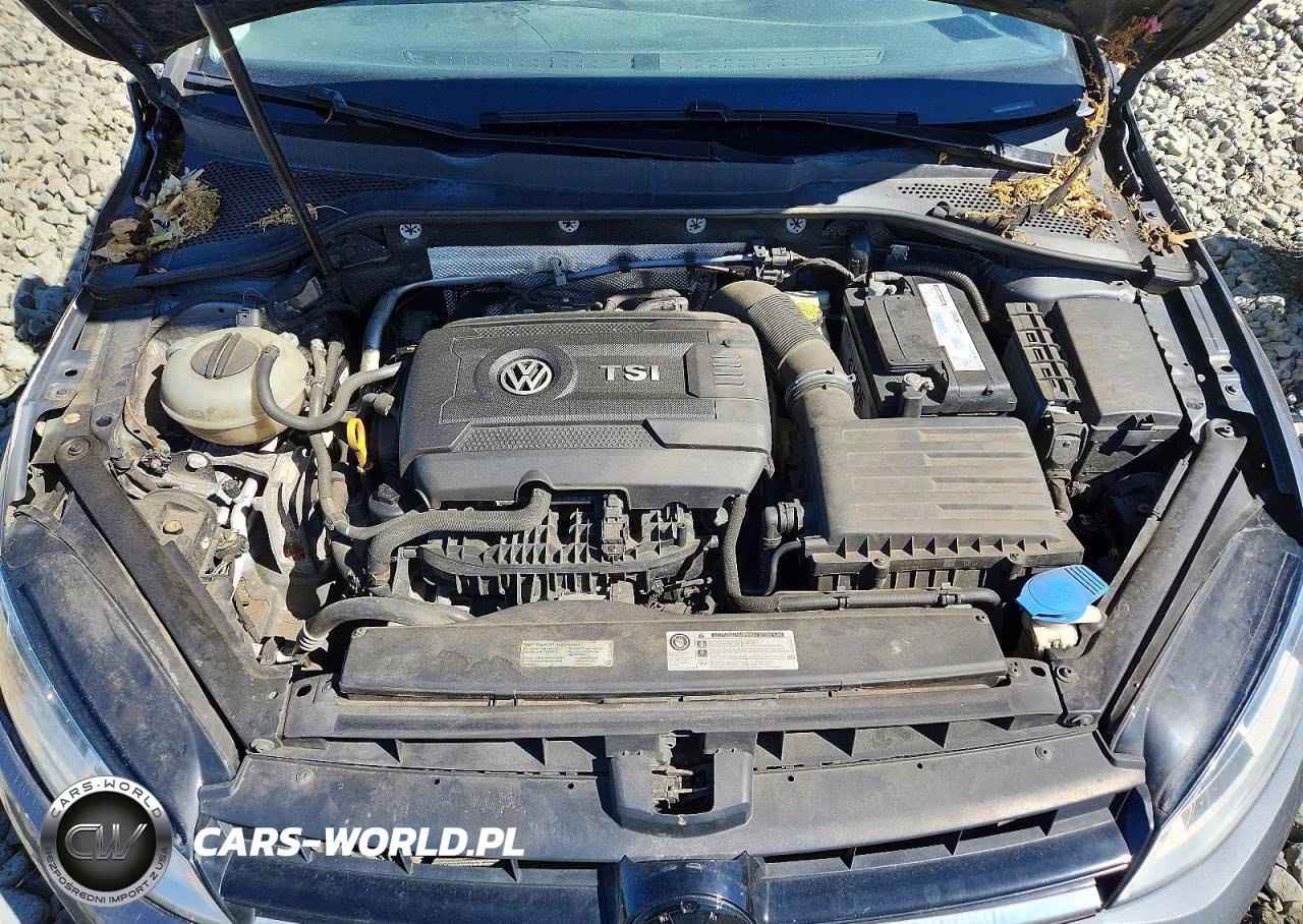 2016 Volkswagen Golf Sportwagen S VIN:3VWC17AUXGM510123 - 11