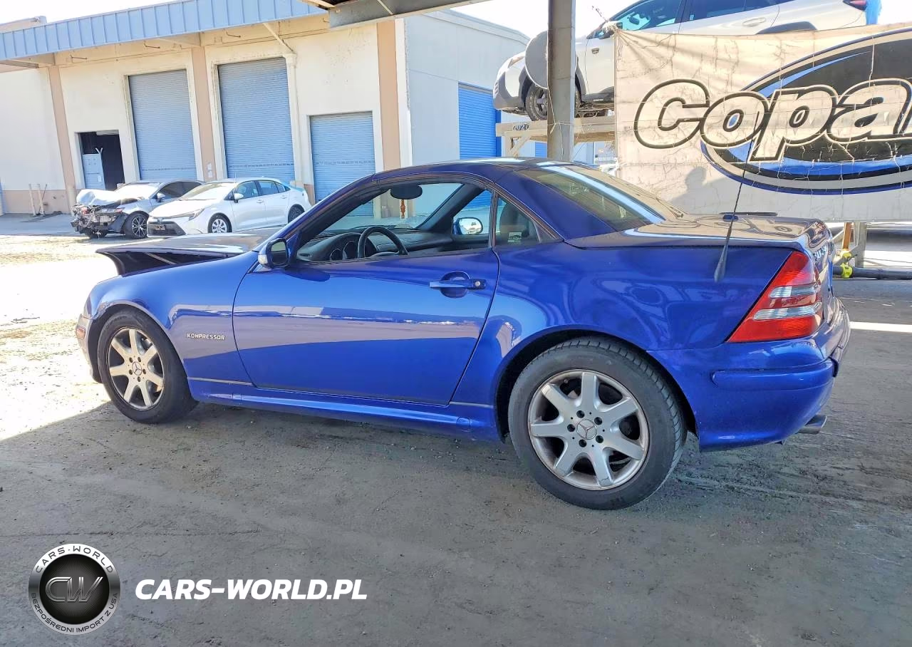 2003 Mercedes-Benz Slk 230 Kompressor VIN:WDBKK49F43F289949 - 2