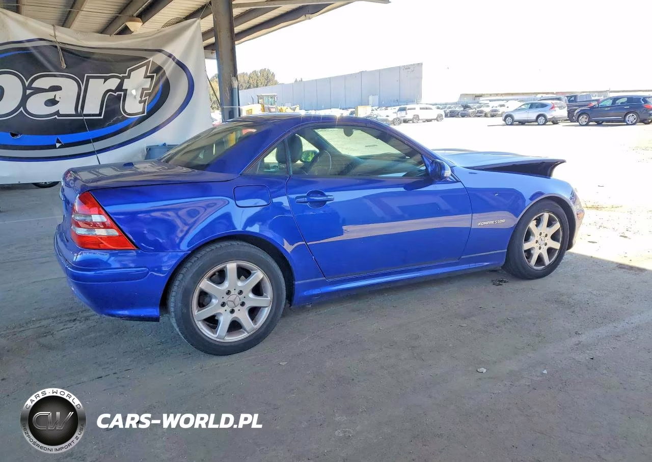 2003 Mercedes-Benz Slk 230 Kompressor VIN:WDBKK49F43F289949 - 3