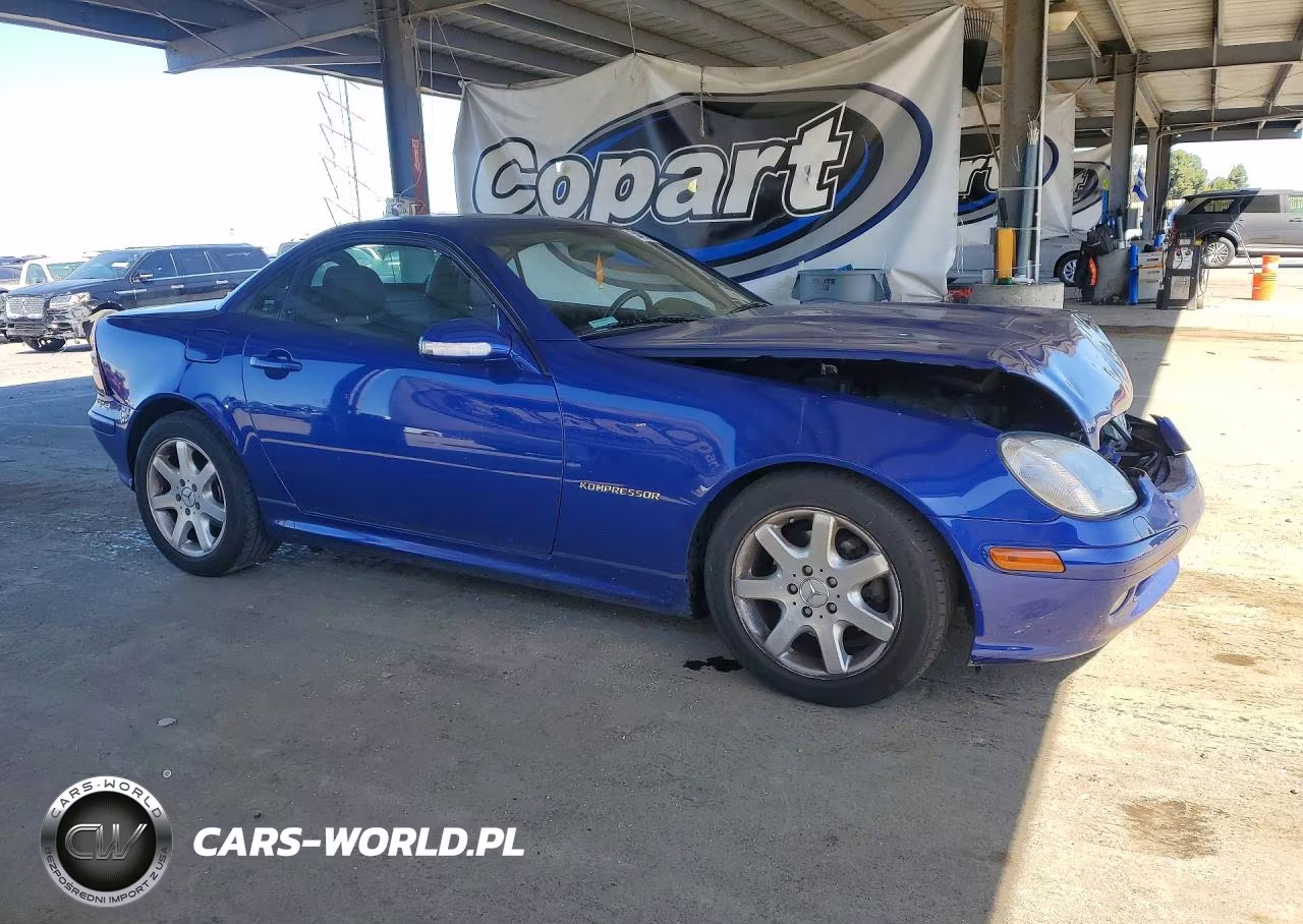 2003 Mercedes-Benz Slk 230 Kompressor VIN:WDBKK49F43F289949 - 4