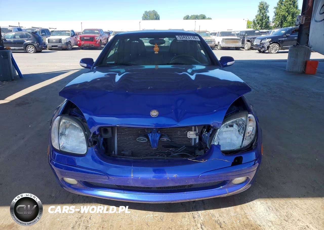 2003 Mercedes-Benz Slk 230 Kompressor VIN:WDBKK49F43F289949 - 5
