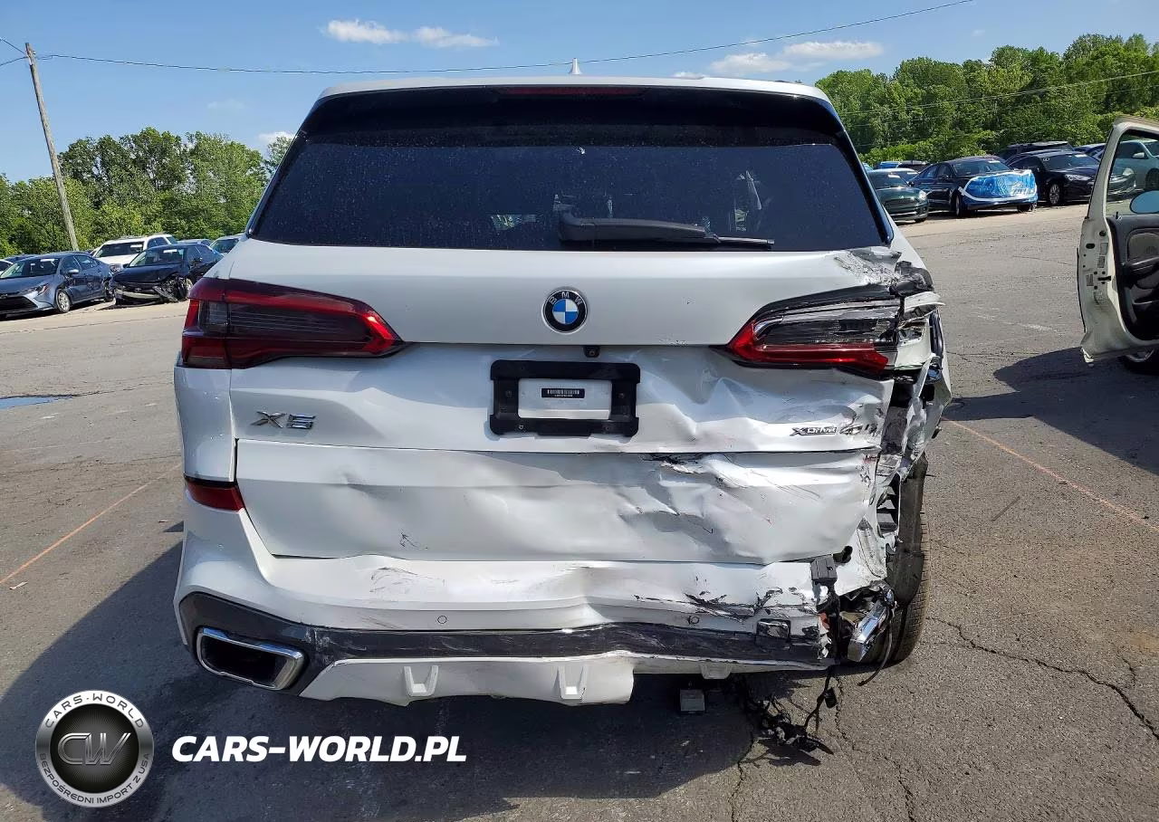 2019 BMW X5 VIN:5UXCR6C57KLL22499 - 6