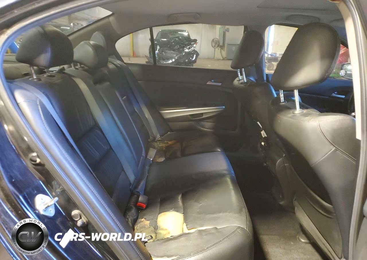 2010 Honda Accord Exl VIN:1HGCP2F87AA056046 - 10