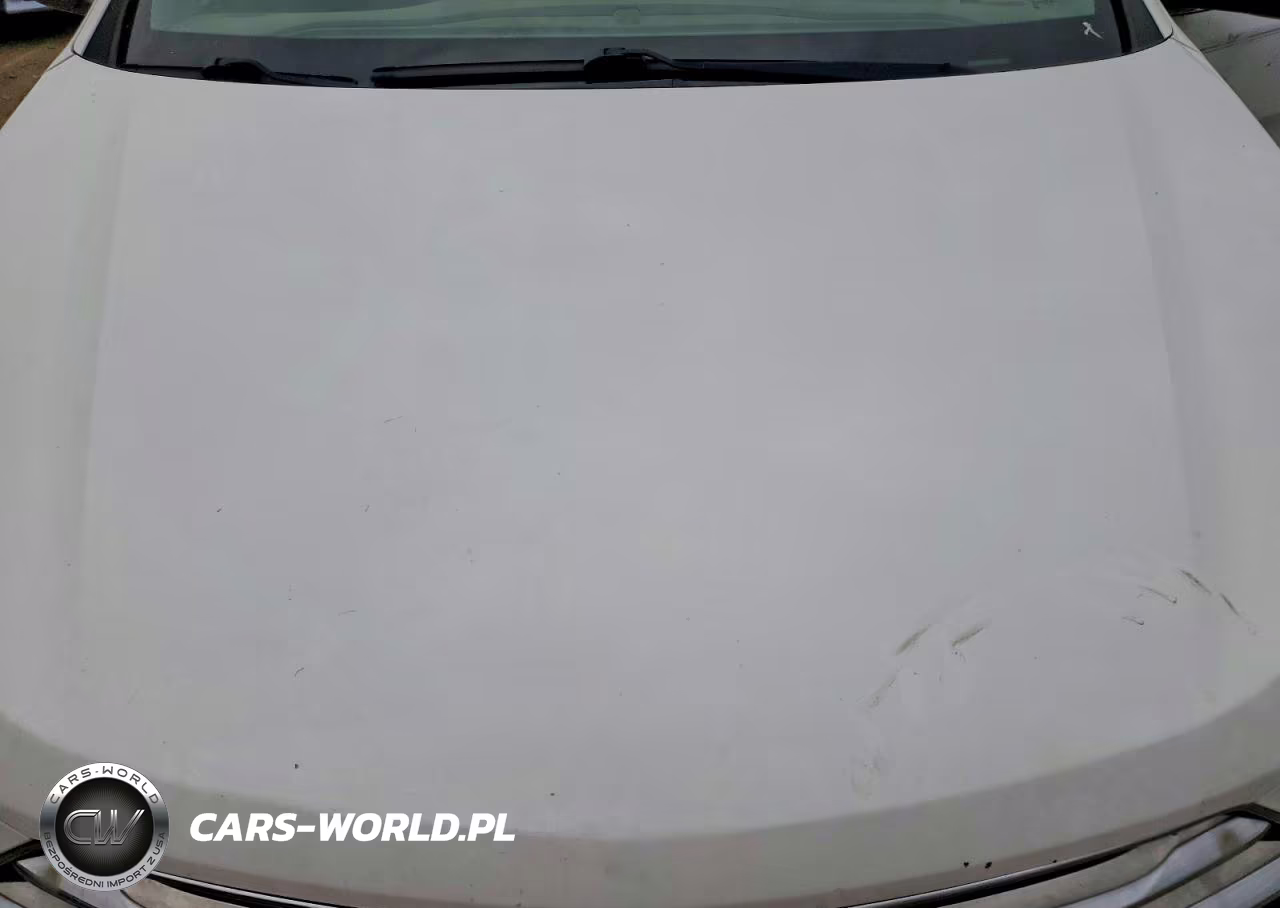 2016 Hyundai Santa Fe Se VIN:KM8SM4HF5GU141044 - 11