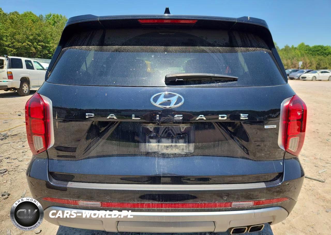 2023 Hyundai Palisade Limited VIN:KM8R5DGE4PU536515 - 6