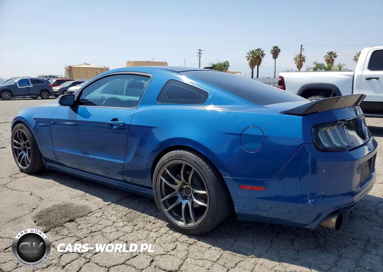 2014 Ford Mustang VIN:1ZVBP8AM8E5292234 - 2