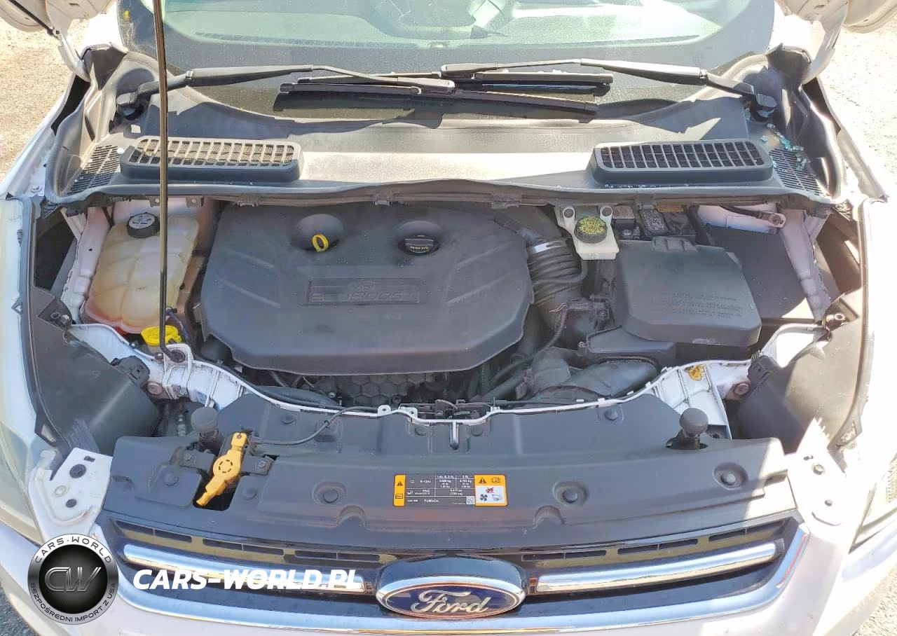 2013 Ford Escape Titanium VIN:1FMCU9J94DUB64686 - 12