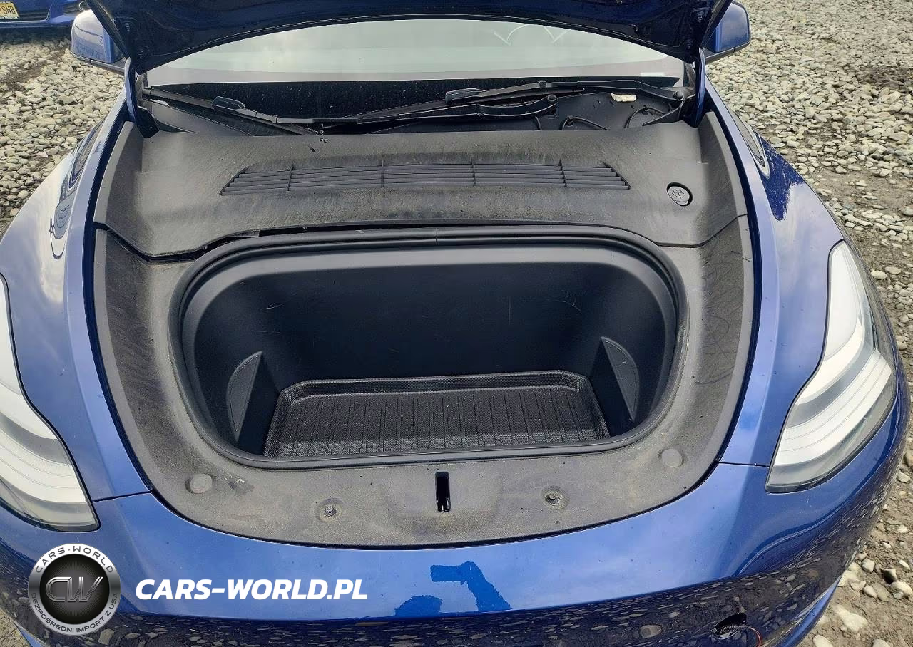 2023 Tesla Model Y VIN:7SAYGDEE7PA093430 - 11
