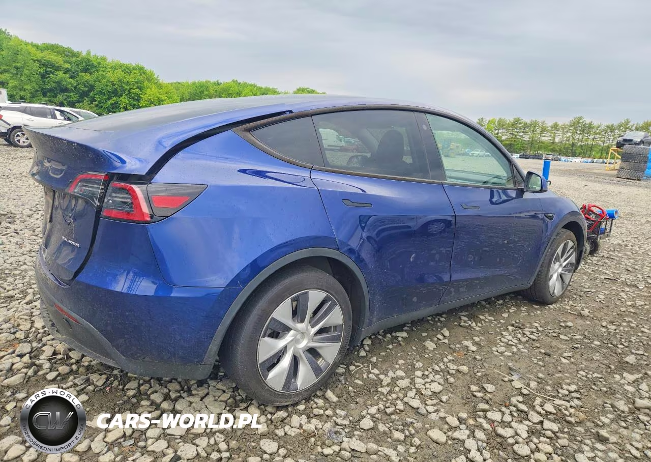 2023 Tesla Model Y VIN:7SAYGDEE7PA093430 - 3