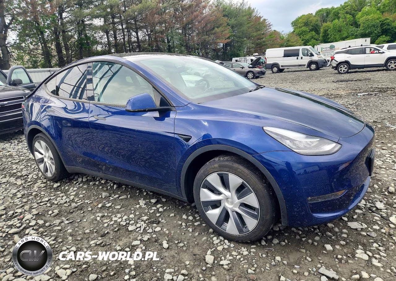 2023 Tesla Model Y VIN:7SAYGDEE7PA093430 - 4