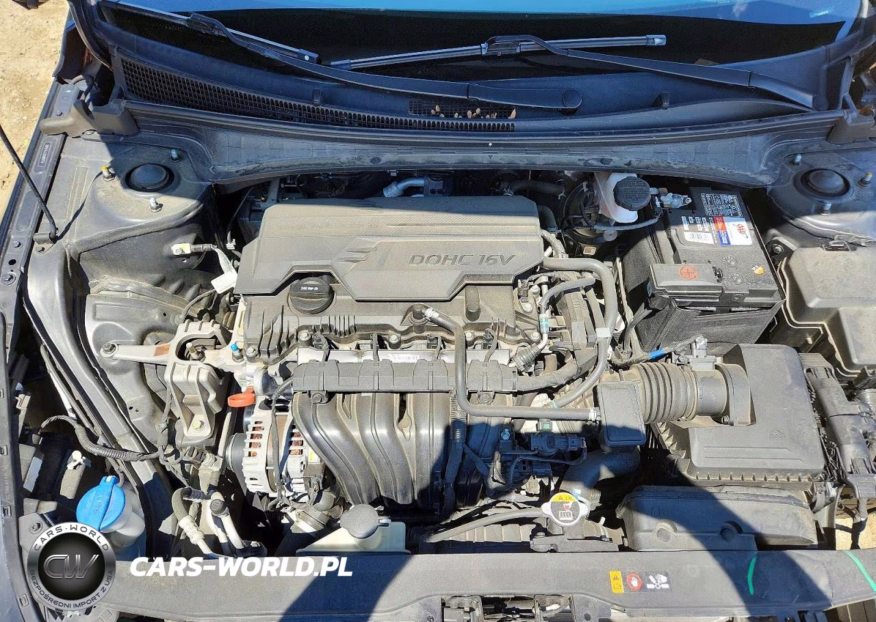 2021 Hyundai Elantra Limited VIN:5NPLP4AG2MH009738 - 11