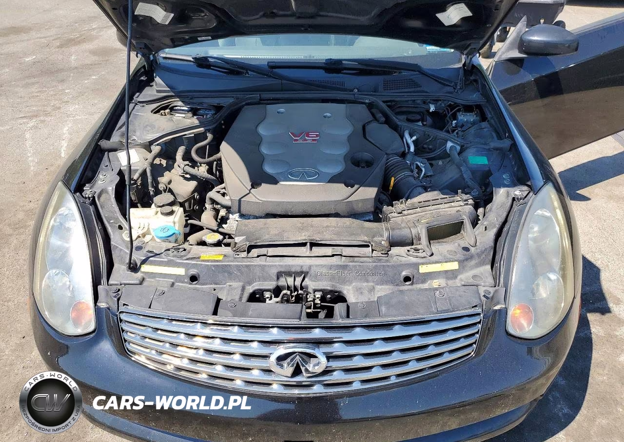 2004 Infiniti G35 Base VIN:JNKCV54E14M812082 - 11