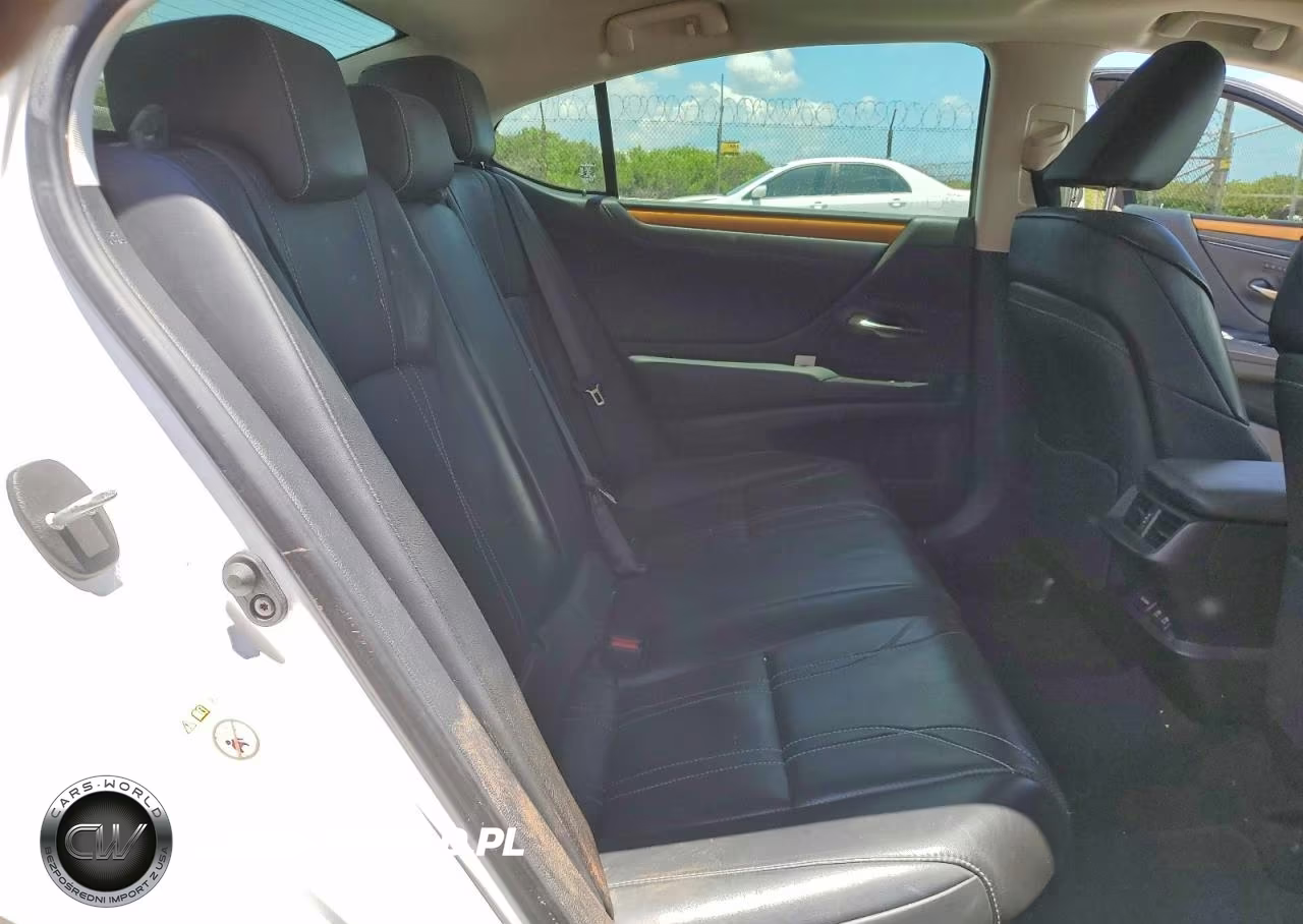 2019 Lexus Es 300H VIN:JTHB21B17K2002574 - 10
