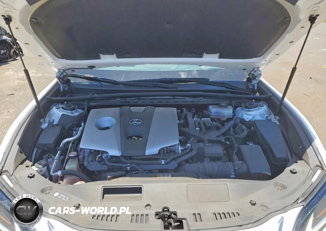 2019 Lexus Es 300H VIN:JTHB21B17K2002574 - 11