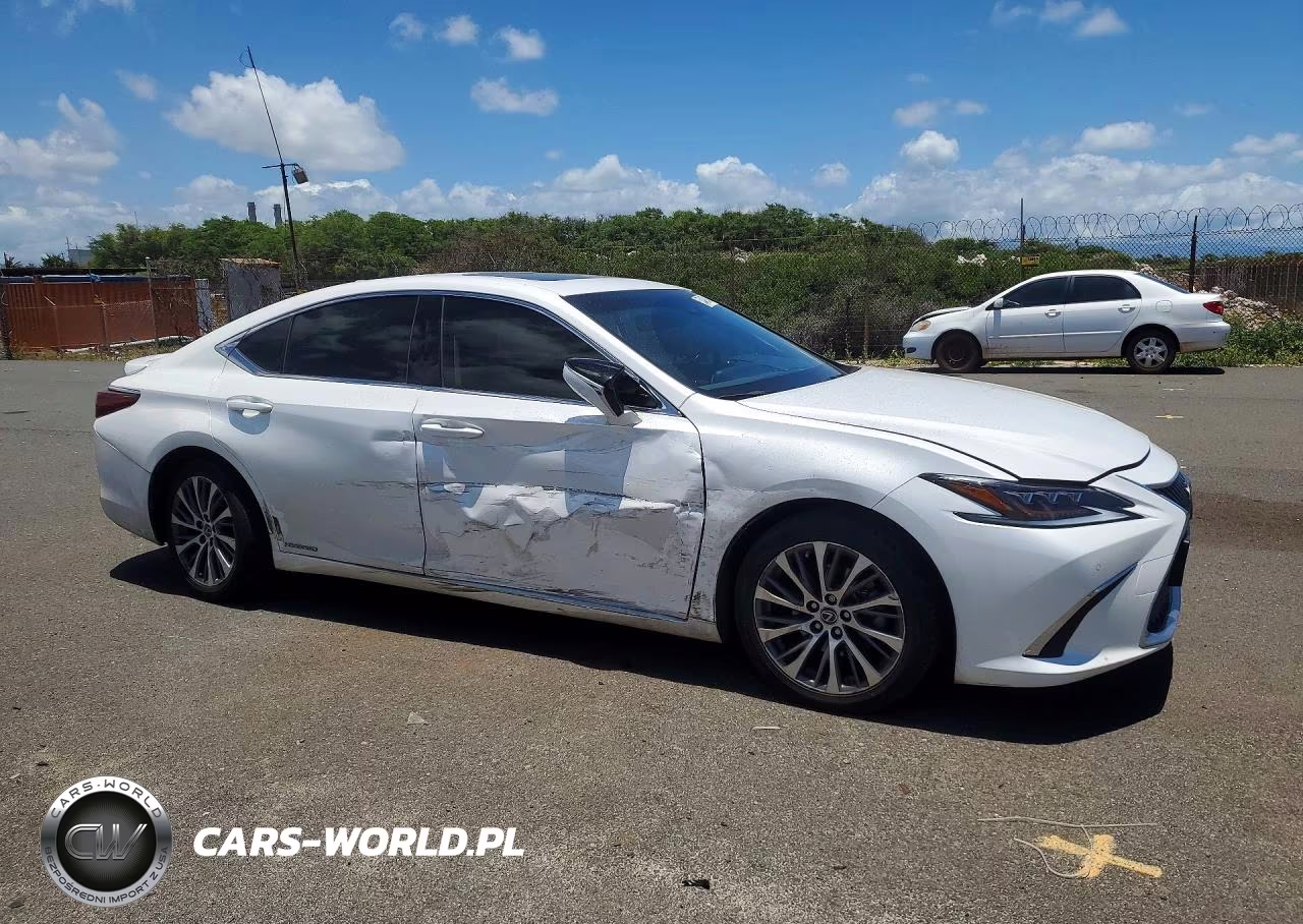 2019 Lexus Es 300H VIN:JTHB21B17K2002574 - 4