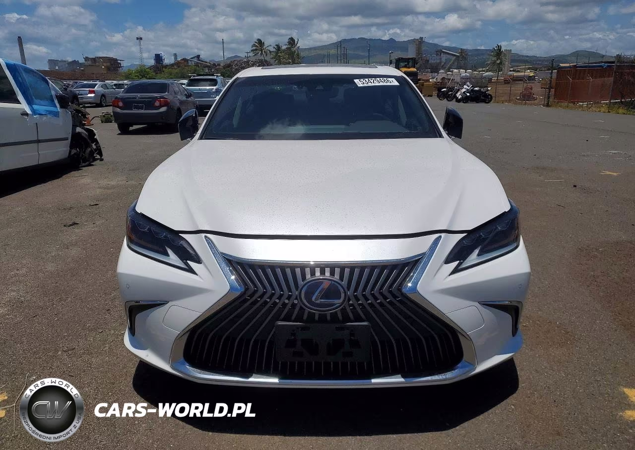 2019 Lexus Es 300H VIN:JTHB21B17K2002574 - 5