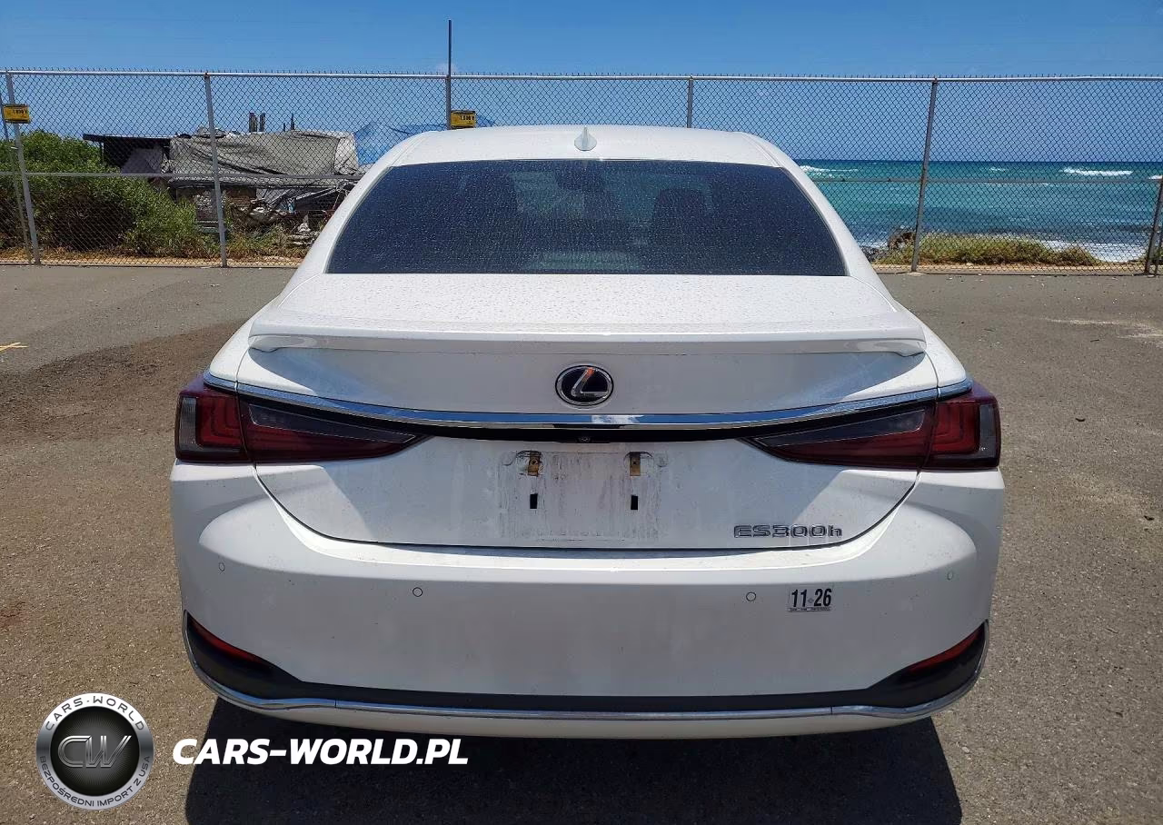 2019 Lexus Es 300H VIN:JTHB21B17K2002574 - 6