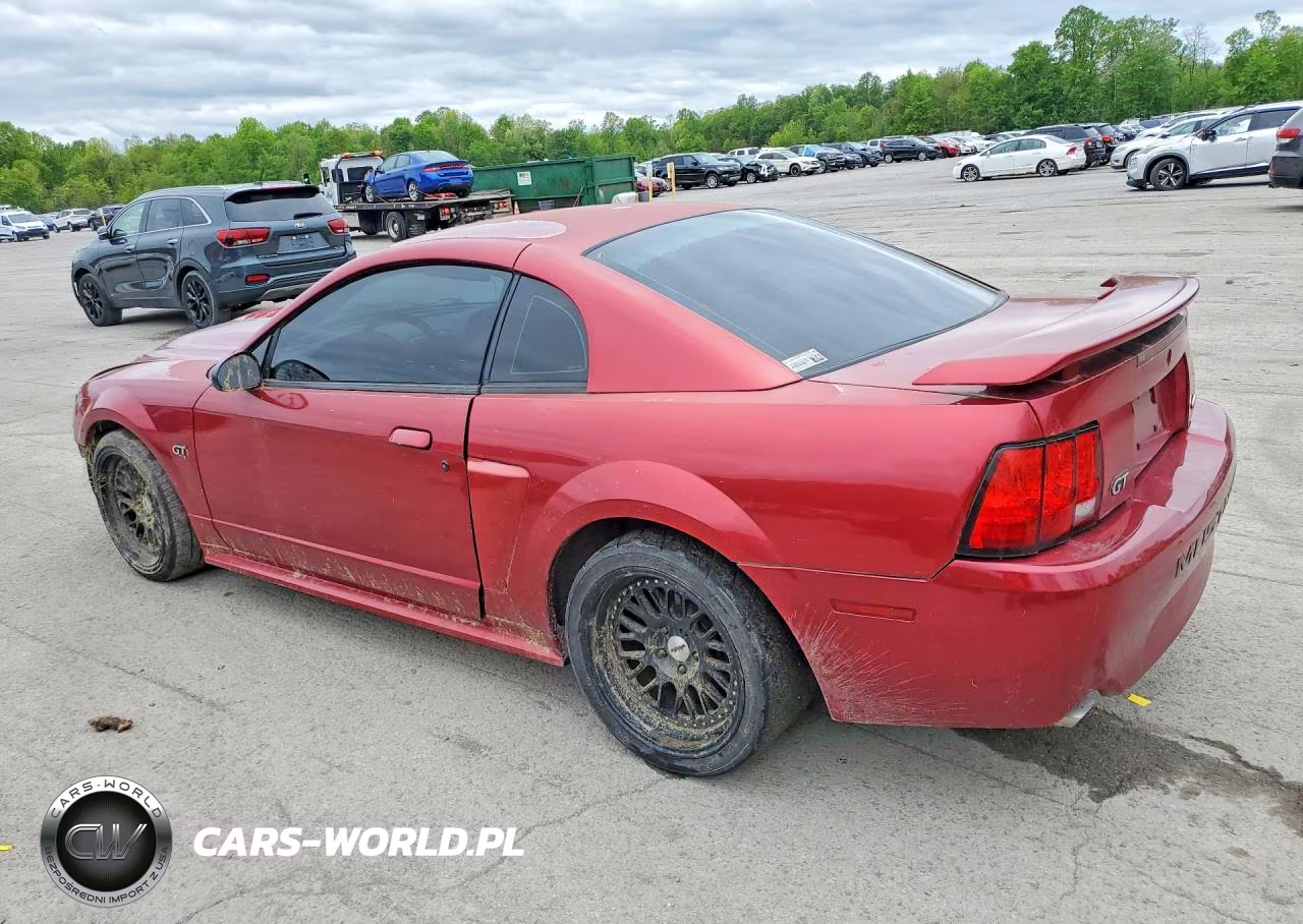 2003 Ford Mustang Gt VIN:1FAFP42XX3F454447 - 2