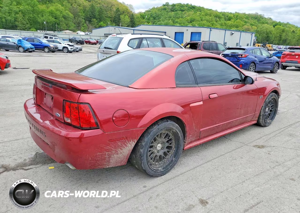 2003 Ford Mustang Gt VIN:1FAFP42XX3F454447 - 3