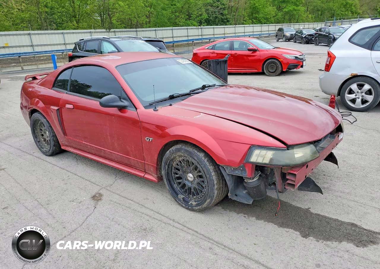 2003 Ford Mustang Gt VIN:1FAFP42XX3F454447 - 4