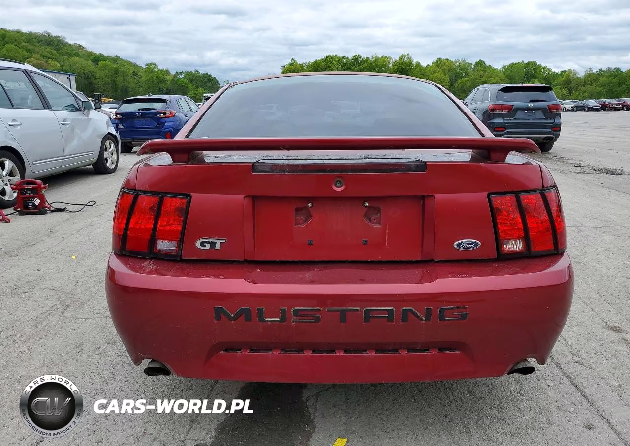 2003 Ford Mustang Gt VIN:1FAFP42XX3F454447 - 6