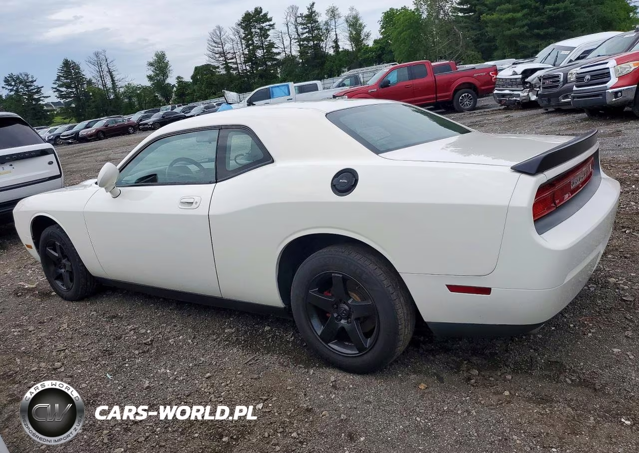 2010 Dodge Challenger Se VIN:2B3CJ4DV9AH120501 - 2