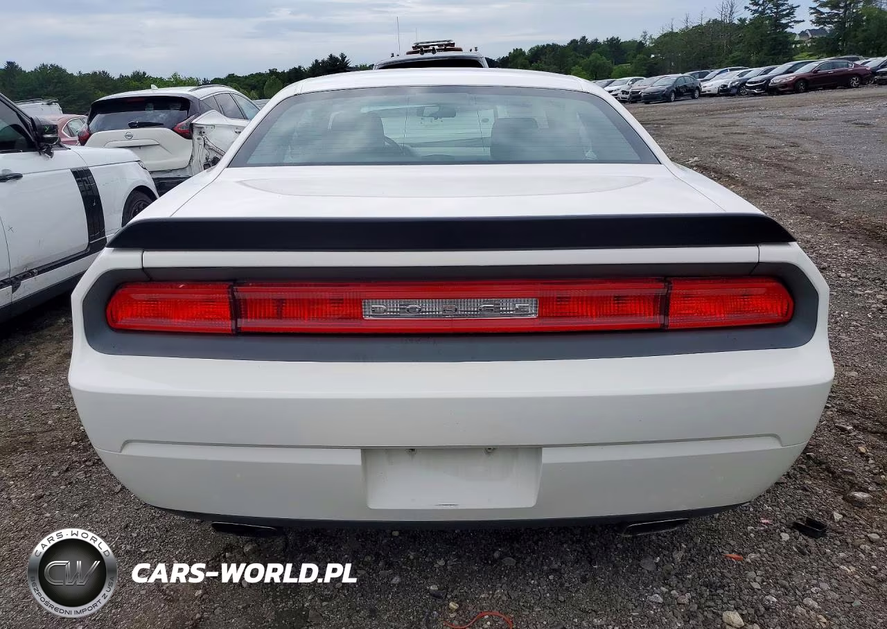 2010 Dodge Challenger Se VIN:2B3CJ4DV9AH120501 - 6