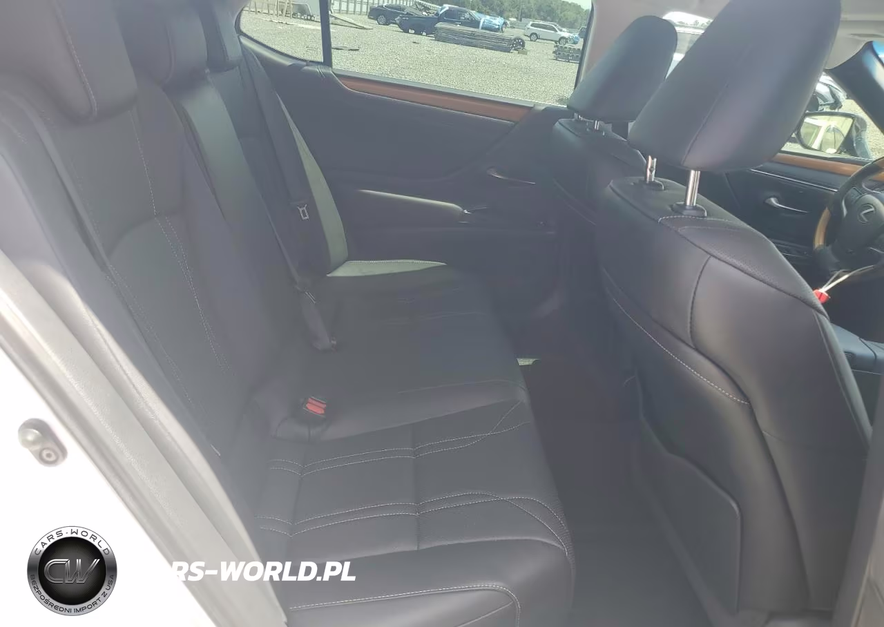 2019 Lexus Es 350 VIN:58ABZ1B1XKU030228 - 10