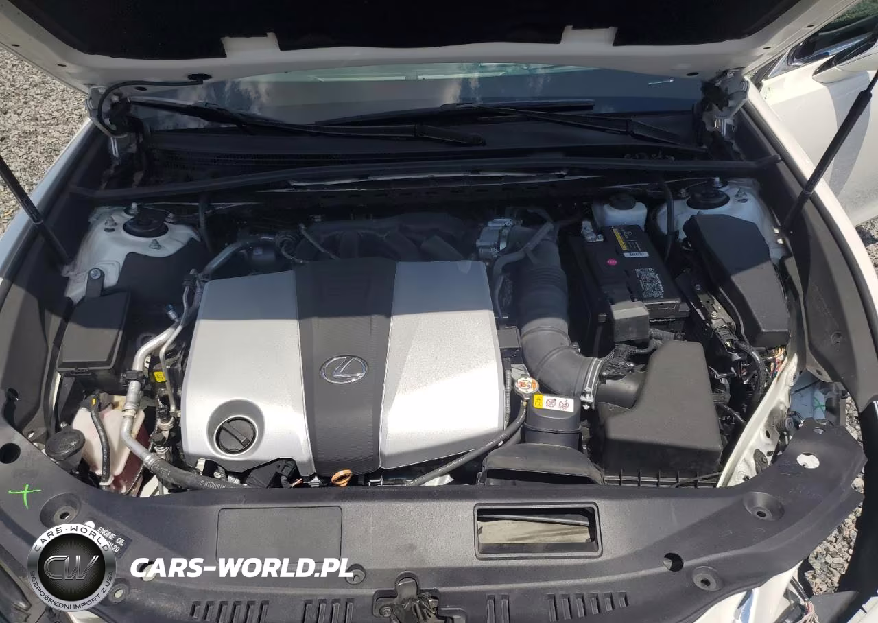 2019 Lexus Es 350 VIN:58ABZ1B1XKU030228 - 11