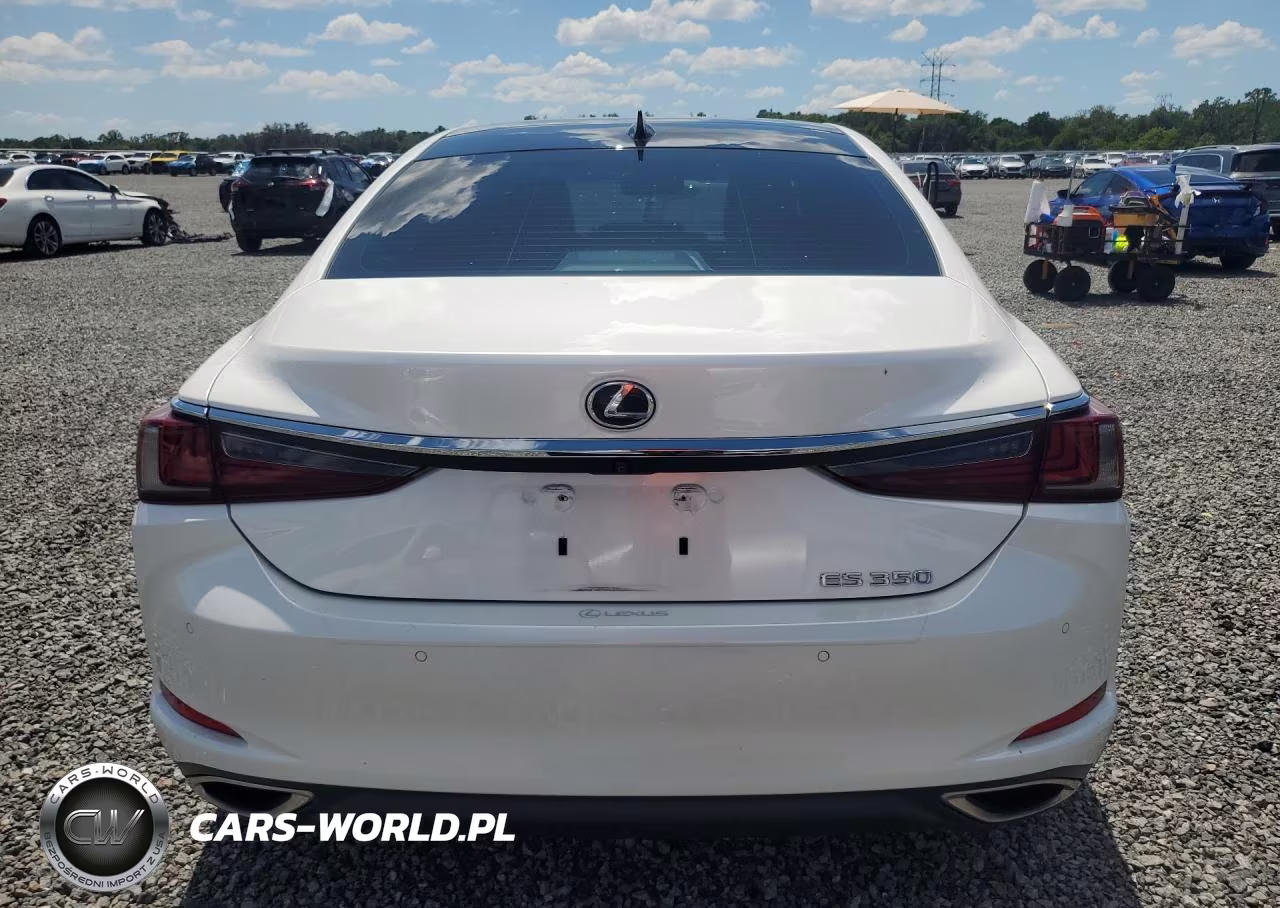 2019 Lexus Es 350 VIN:58ABZ1B1XKU030228 - 6