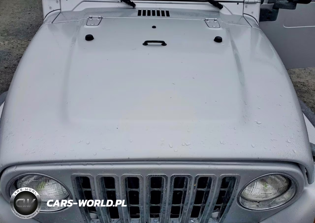 2004 Jeep Wrangler - Tj Sport VIN:1J4FA49S04P794959 - 12