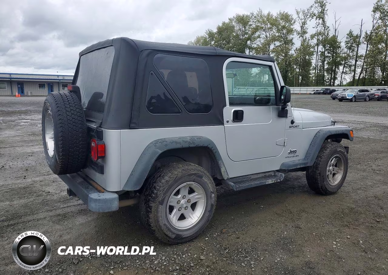 2004 Jeep Wrangler - Tj Sport VIN:1J4FA49S04P794959 - 3