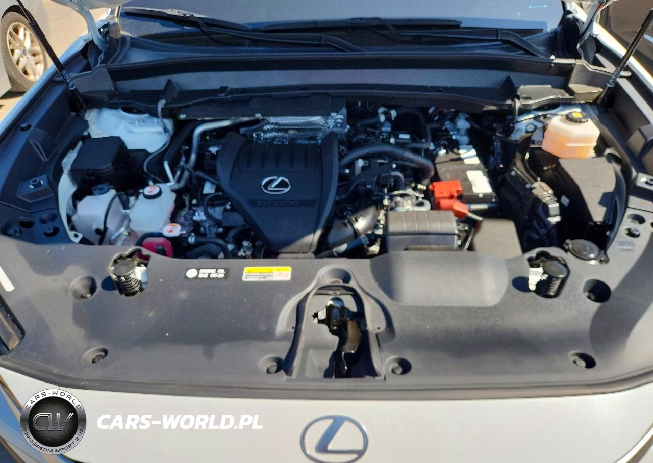 2024 Lexus Tx 350 Base VIN:5TDAAAA67RS004812 - 12