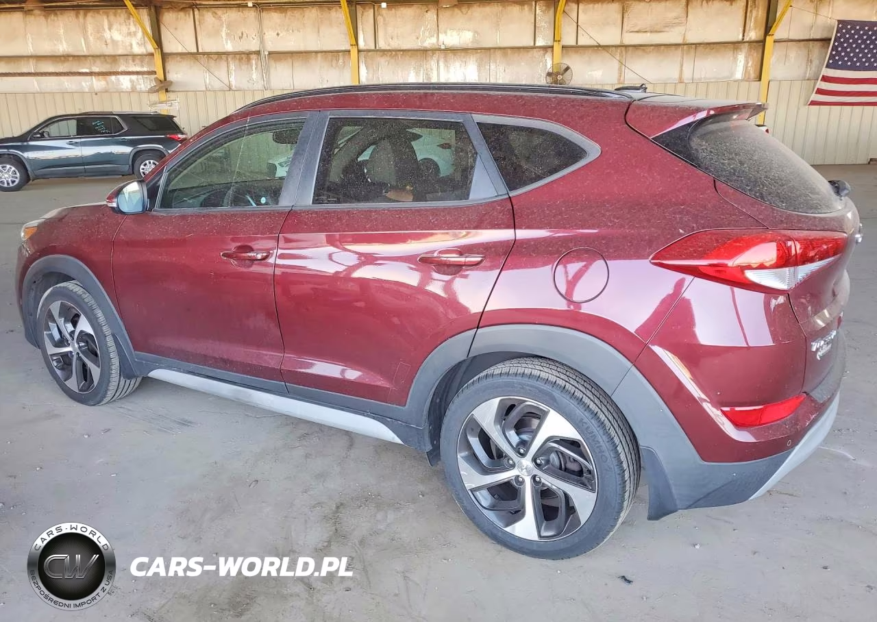 2017 Hyundai Tucson Value VIN:KM8J3CA22HU556310 - 2
