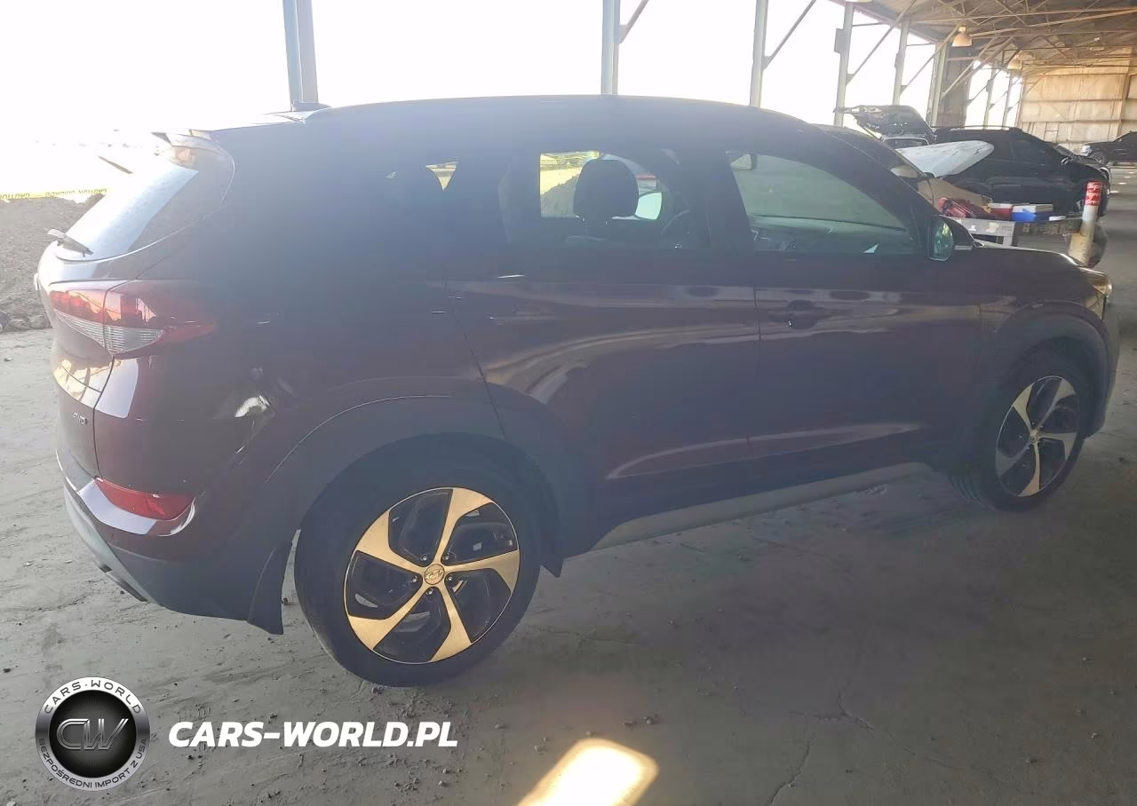 2017 Hyundai Tucson Value VIN:KM8J3CA22HU556310 - 3