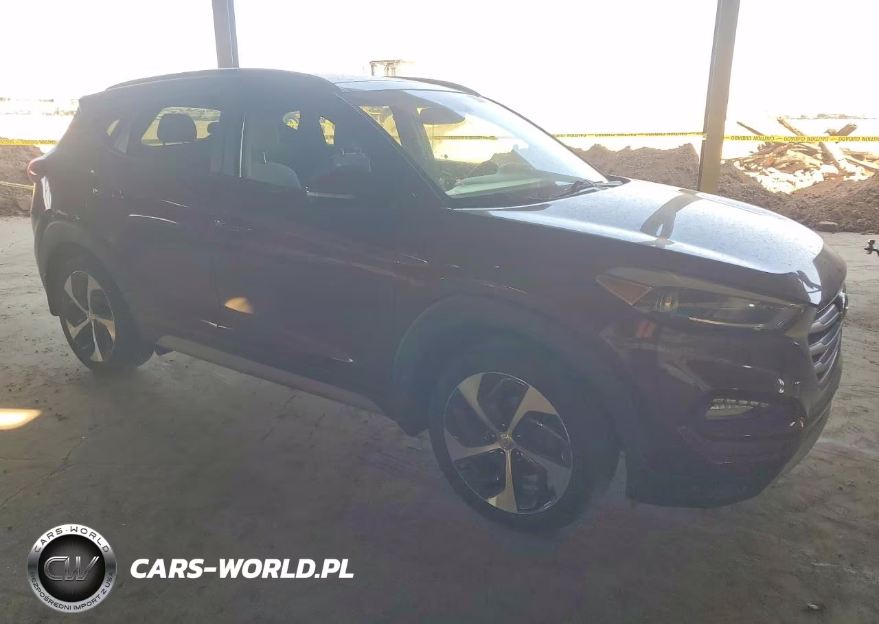 2017 Hyundai Tucson Value VIN:KM8J3CA22HU556310 - 4