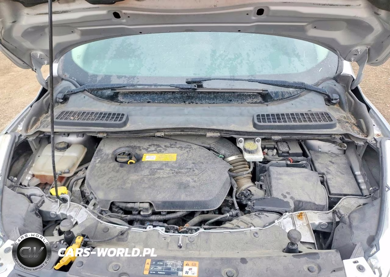 2016 Ford Escape Se VIN:1FMCU0GX1GUB56776 - 12