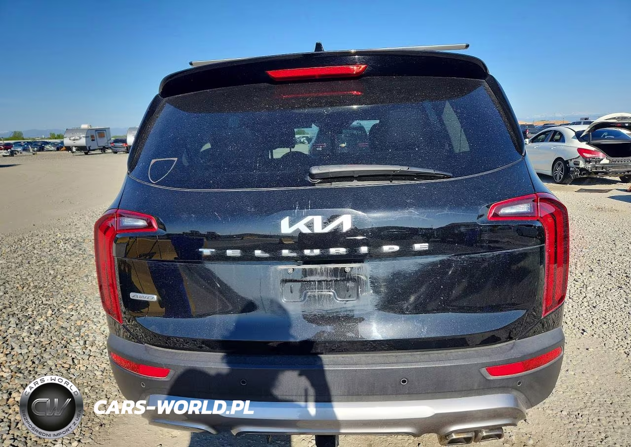 2022 Kia Telluride S VIN:5XYP6DHC5NG199762 - 6
