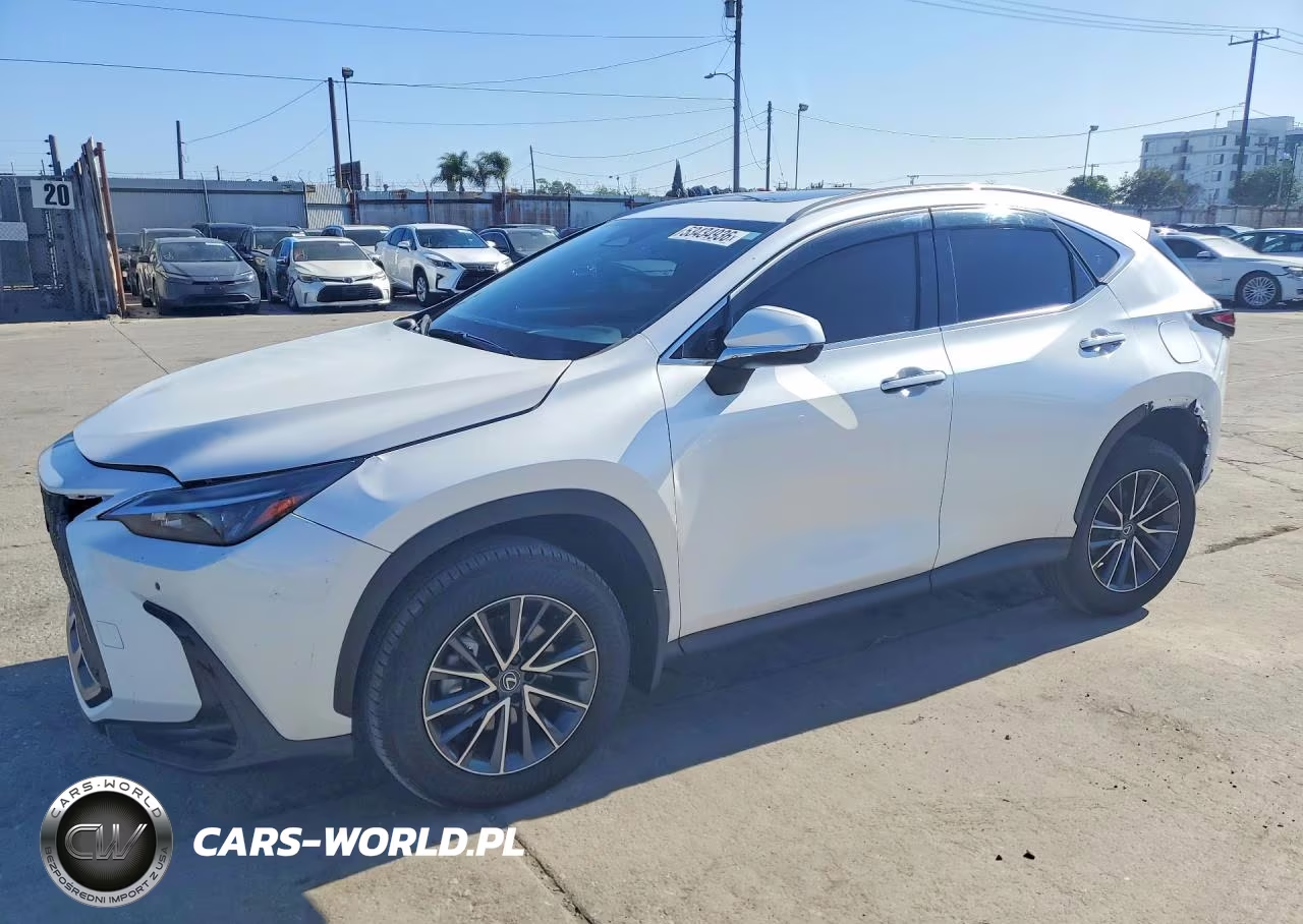 2025 Lexus Nx 250